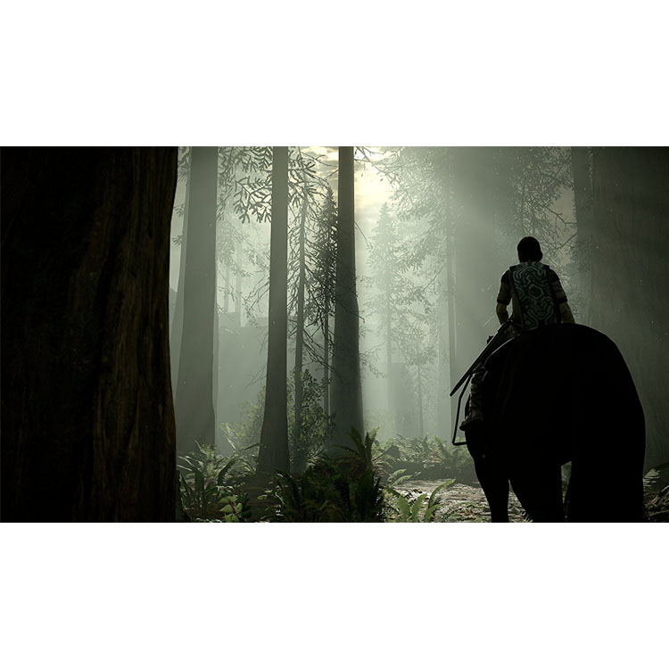 Shadow of the Colossus  - PS4
